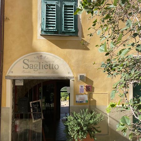 Uliveto Saglietto Agriturismo A Poggi Apartments 因佩里亚 外观 照片