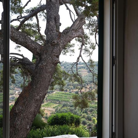 Uliveto Saglietto Agriturismo A Poggi Apartments 因佩里亚 外观 照片