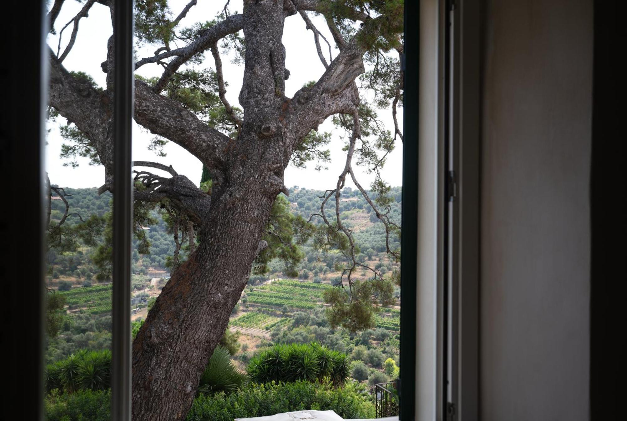 Uliveto Saglietto Agriturismo A Poggi Apartments 因佩里亚 外观 照片