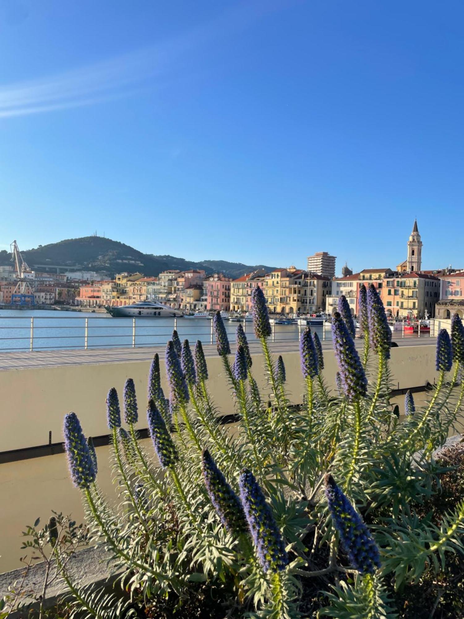 Uliveto Saglietto Agriturismo A Poggi Apartments 因佩里亚 外观 照片