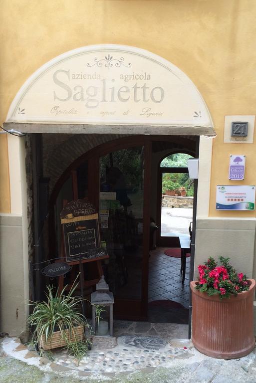 Uliveto Saglietto Agriturismo A Poggi Apartments 因佩里亚 外观 照片