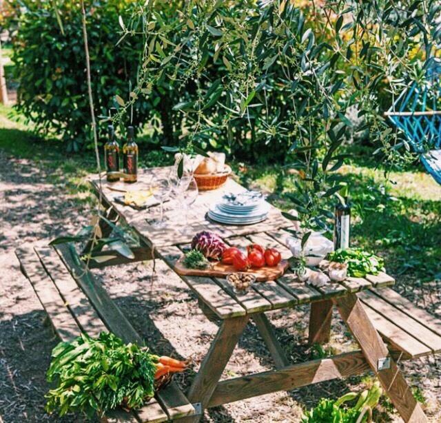 Uliveto Saglietto Agriturismo A Poggi Apartments 因佩里亚 外观 照片