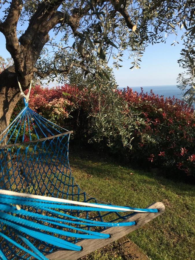 Uliveto Saglietto Agriturismo A Poggi Apartments 因佩里亚 外观 照片
